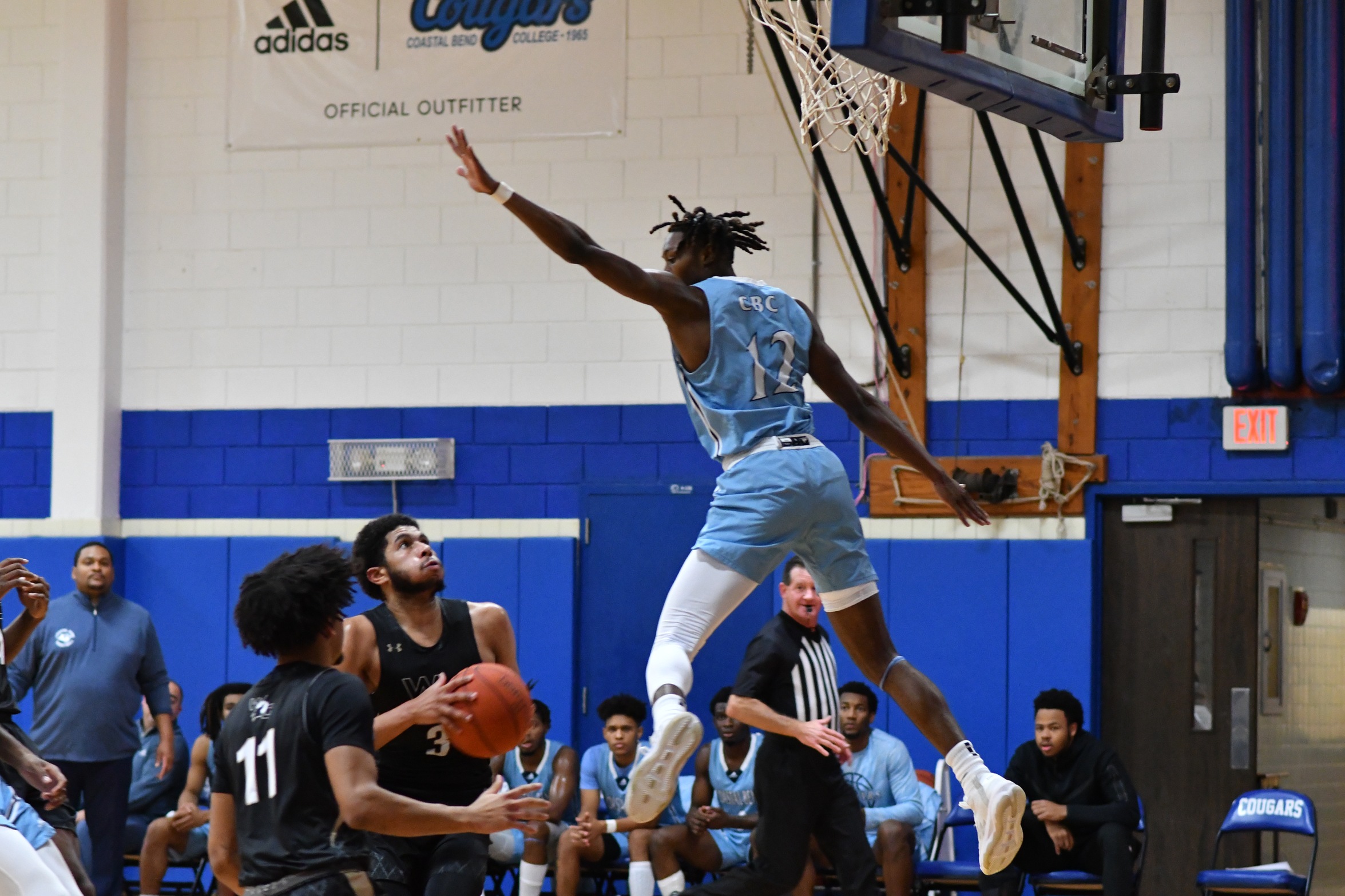 Cougars Devour in The Den; Drop Ponies