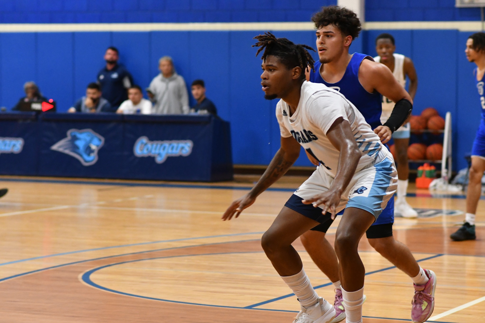 Cougars Feast in Tyler