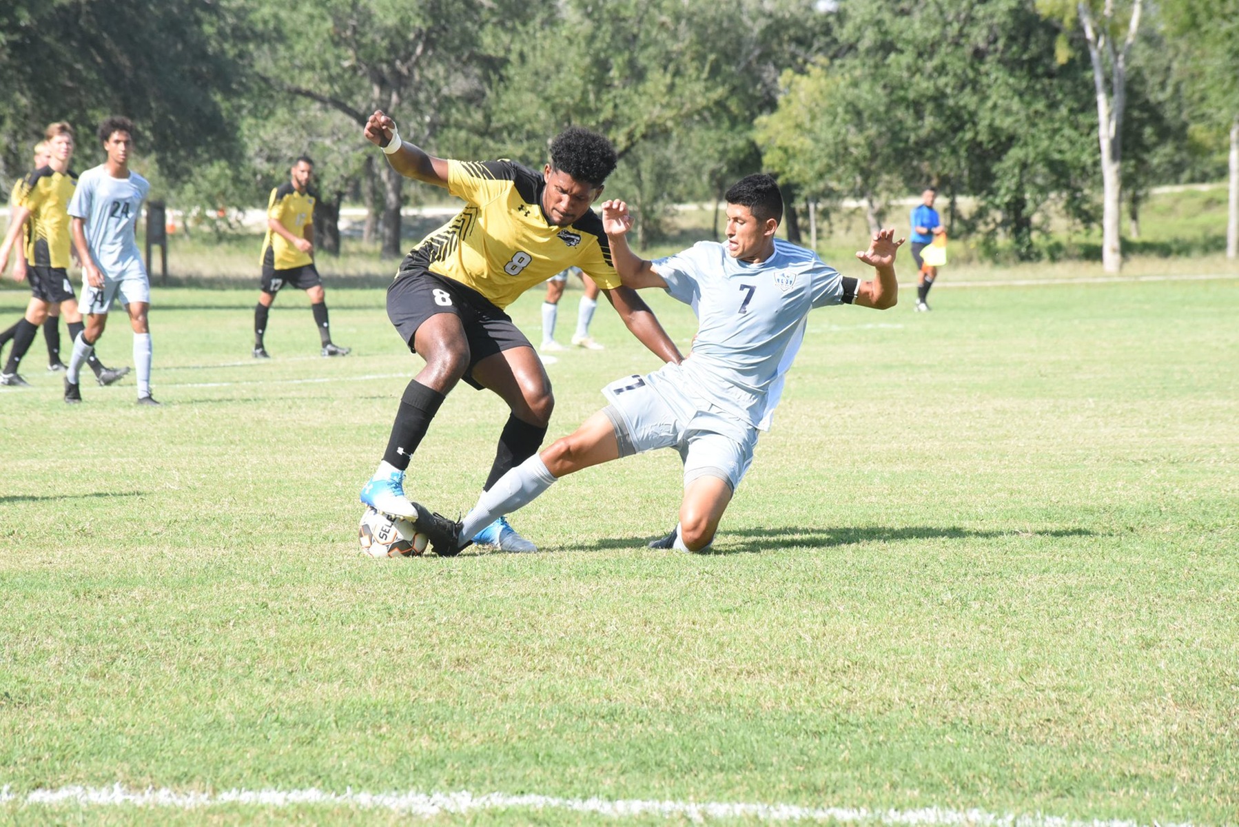 Cougars Break Even on Weekend Road Trip